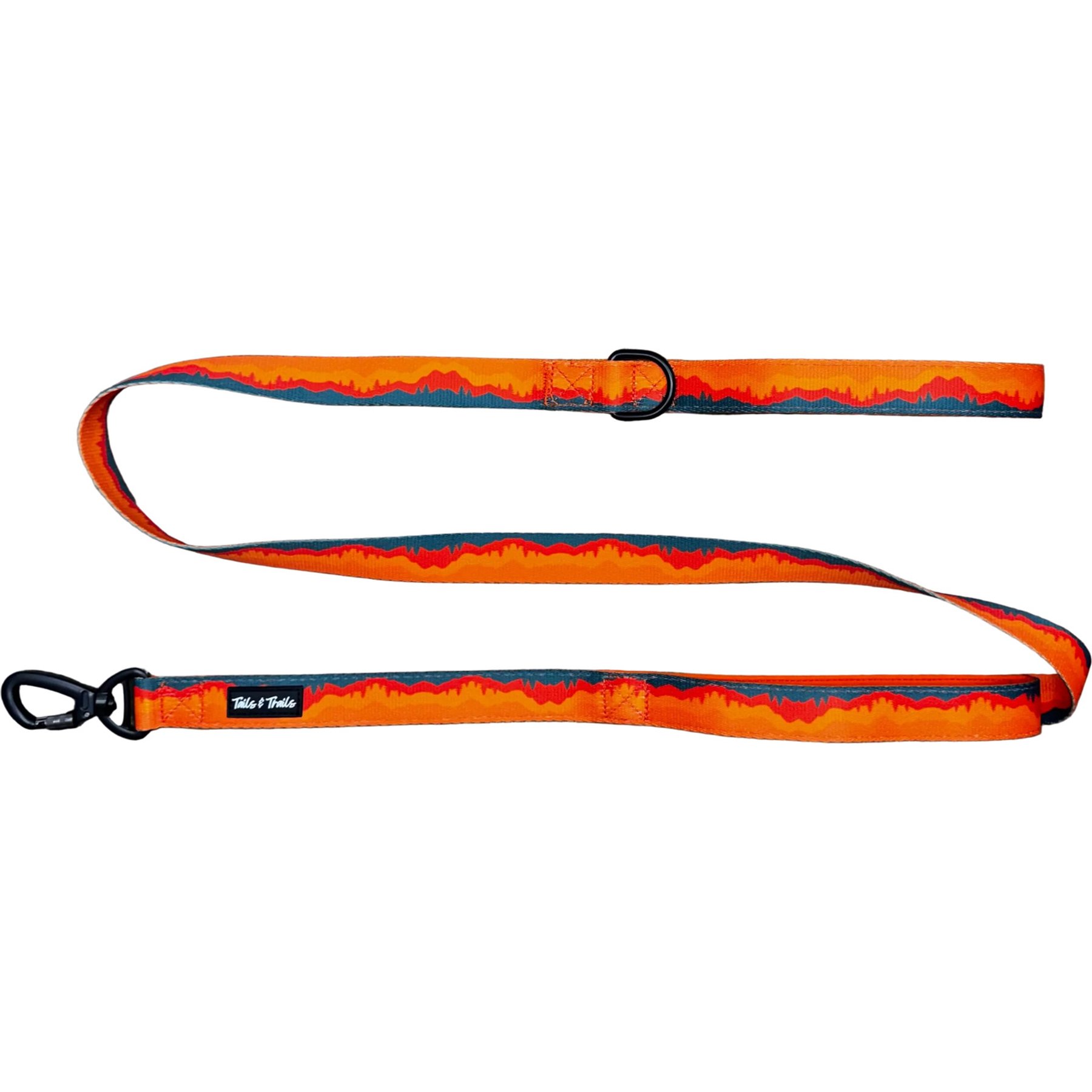 Tails & Trails Saharah Trail Standard Dog Leash, Orange, 5-ft long, 1-in wide