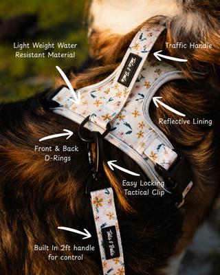 Show full view: Tails & Trails Wildflower Adventure No-Pull Dog Harness, White, X-Small: 14 to 19-in chest slide 2 of 3