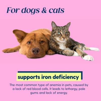 Show full view: Taily Bacon Flavored Liquid Iron Supplement for Dogs & Cats, 4-fl oz bottle slide 4 of 9