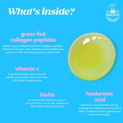 Show full view: Taily Collagen Bacon Flavored Liquid Skin & Coat Supplement for Dogs & Cats, 4-fl oz bottle slide 5 of 9