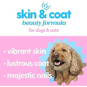 Taily Collagen Bacon Flavored Liquid Skin & Coat Supplement for Dogs & Cats, 4-fl oz bottle