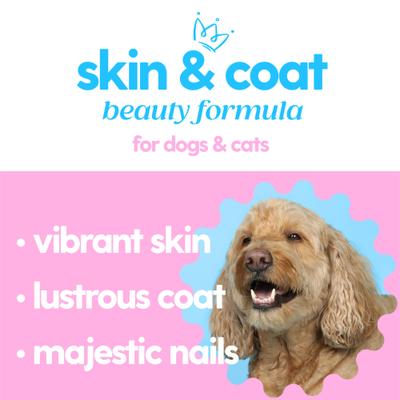 Show full view: Taily Collagen Bacon Flavored Liquid Skin & Coat Supplement for Dogs & Cats, 4-fl oz bottle slide 8 of 9