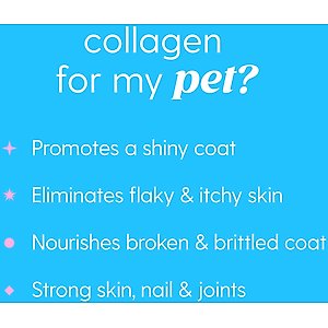 Taily Collagen Bacon Flavored Liquid Skin & Coat Supplement for Dogs & Cats, 4-fl oz bottle