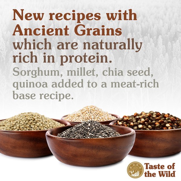 Taste of the Wild Ancient Mountain with Ancient Grains Dry Dog Food