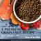 Show in main carousel: Taste of the Wild Pacific Stream Smoke-Flavored Salmon Puppy Recipe Grain-Free Dry Dog Food, 14-lb bag slide 5 of 9