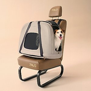 Tavo Pets Crispin Protection System Dog & Cat Kennel, Onyx, Small