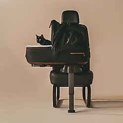 Tavo Pets Maeve Flex Dog & Cat Car Seat, Onyx, Medium