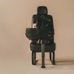 Tavo Pets Maeve Flex Dog & Cat Car Seat, Onyx, Small