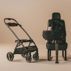 Tavo Pets Maeve Flex & Roscoe Dog & Cat Car Seat & Stroller System, Onyx, Small