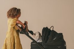 Tavo Pets Maeve Flex & Roscoe Dog & Cat Car Seat & Stroller System, Sable, Small slide 2 of 9