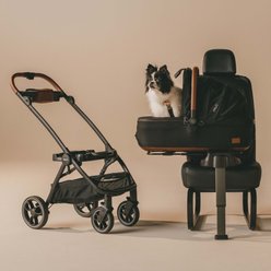 Tavo Pets Maeve Rigid & Roscoe Dog & Cat Car Seat & Stroller System, Medium, Onyx
