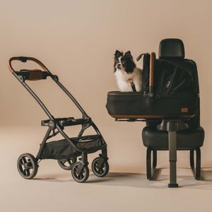 Ibiyaya New CLEO Travel System Cat & Dog Stroller, Medium