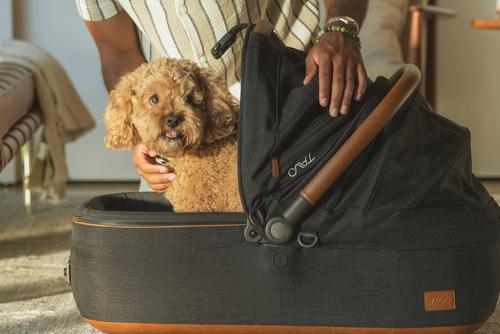 Show full view: Tavo Pets Maeve Rigid & Roscoe Dog & Cat Car Seat & Stroller System, Medium, Onyx slide 8 of 11