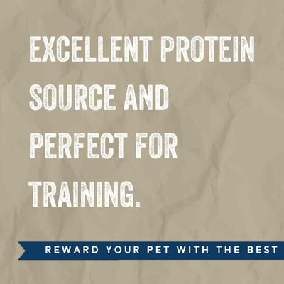 Show full view: Team Dog Lamb & Salmon Soft Bite Freeze-Dried Dog Treats, 13-oz bag slide 4 of 7