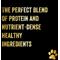 Show in main carousel: Team Dog Salmon Meal & Herring Meal 30/25 Elite Blend Premium Dry Dog Food, 33-lb bag slide 5 of 10