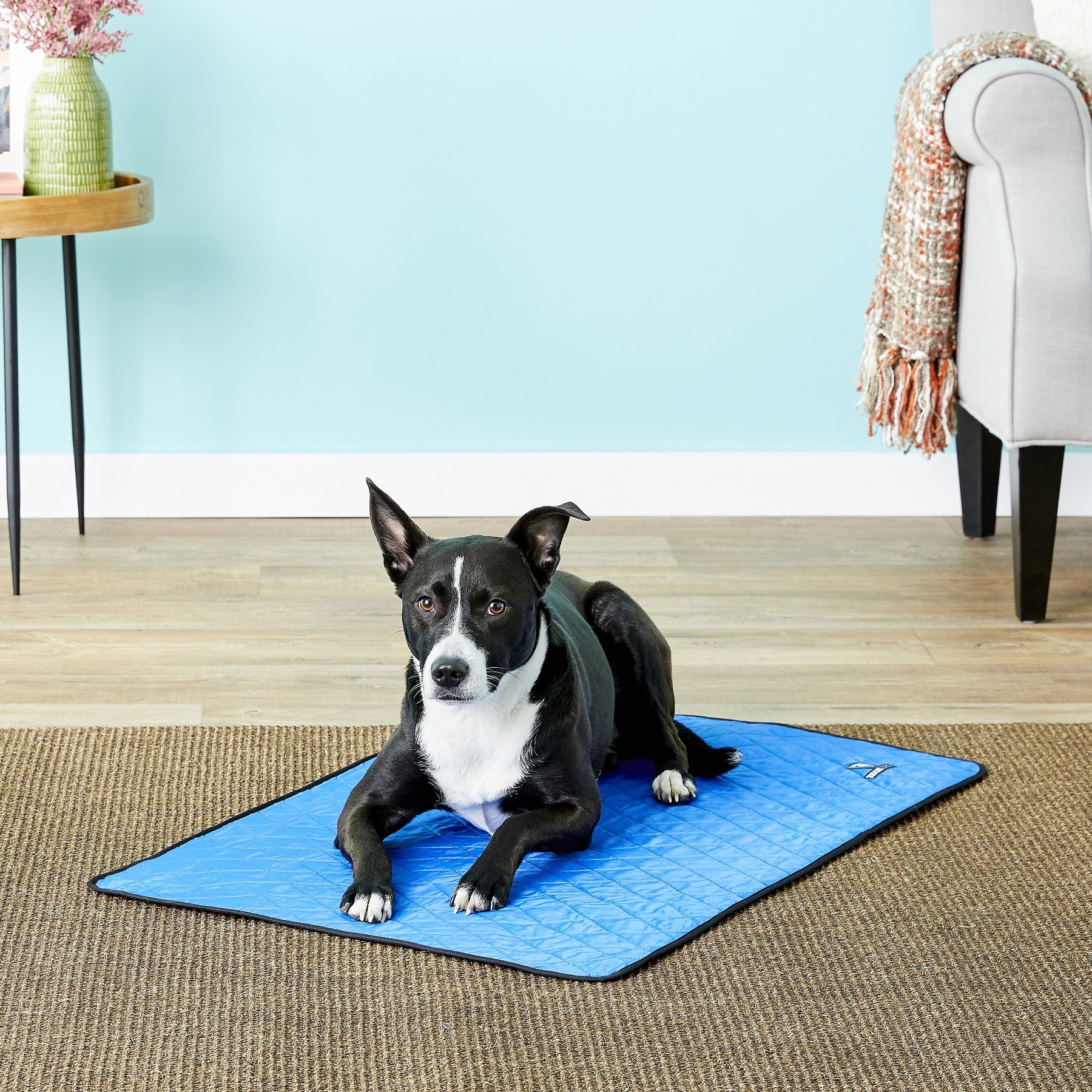 TechNiche International Evaporative Cooling Dog Pad, Royal Blue, Large