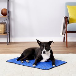TechNiche International Evaporative Cooling Dog Pad, Royal Blue, Medium