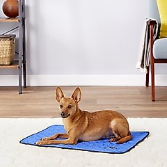 TechNiche International Evaporative Cooling Dog Pad, Royal Blue, Small