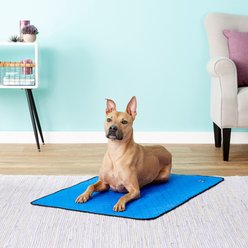 TechNiche International Evaporative Cooling Dog Pad, Royal Blue, X-Large