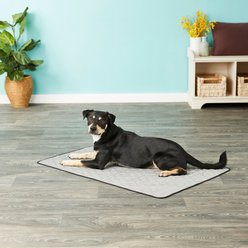 TechNiche International Evaporative Cooling Dog Pad, Silver, X-Large