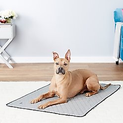 TechNiche International Evaporative Cooling Dog Pad, Silver, XX-Large