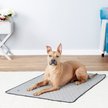 techniche-international-evaporative-cooling-dog-pad-silver-xx-large