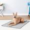 Show in main carousel: TechNiche International Evaporative Cooling Dog Pad, Silver, XX-Large slide 1 of 6