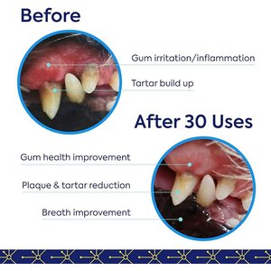 TEEF! Protektin42 Powder Water Additive Dental Kit for Dogs, 30 count