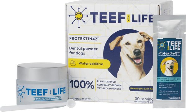 TEEF! Protektin42 Powder Water Additive Dental Kit for Dogs