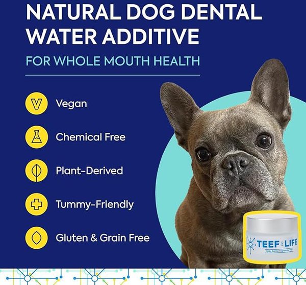 TEEF! Protektin42 Powder Water Additive Dental Kit for Dogs