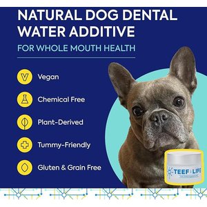 TEEF! Protektin42 Powder Water Additive Dental Kit for Dogs, 30 count