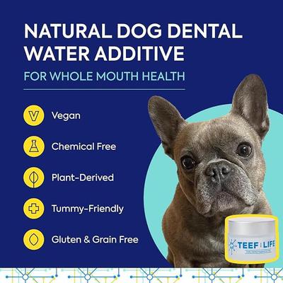 Show full view: TEEF! Protektin42 Powder Water Additive Dental Kit for Dogs, 30 count slide 3 of 7