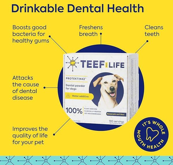 TEEF! Protektin42 Powder Water Additive Dental Kit for Dogs