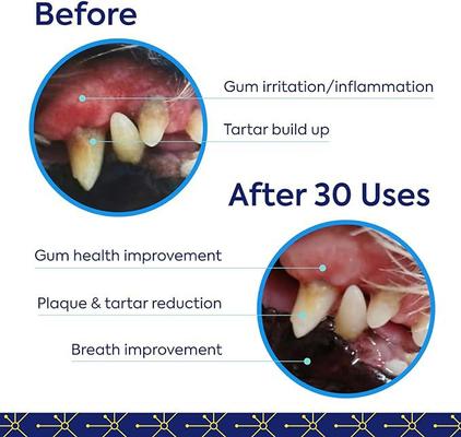 Show full view: TEEF! Protektin42 Powder Water Additive Dental Kit for Dogs, 30 count slide 5 of 7