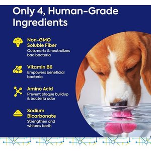 TEEF! Protektin42 Powder Water Additive Dental Kit for Dogs, 30 count