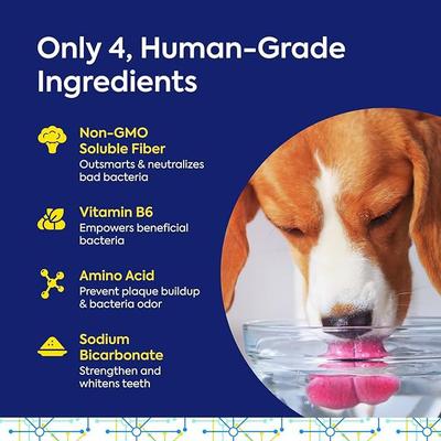 Show full view: TEEF! Protektin42 Powder Water Additive Dental Kit for Dogs, 30 count slide 6 of 7