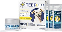TEEF! Protektin42 Powder Water Additive Dental Kit for Dogs, 90 servings