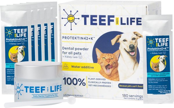 TEEF! Protektin42+K Powder Water Additive Dental Kit for All Pets