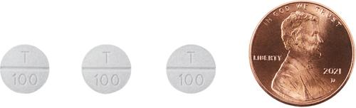 Show full view: Temaril-P (trimeprazine tartrate with prednisolone) Tablets for Dogs, 1 tablet slide 4 of 7