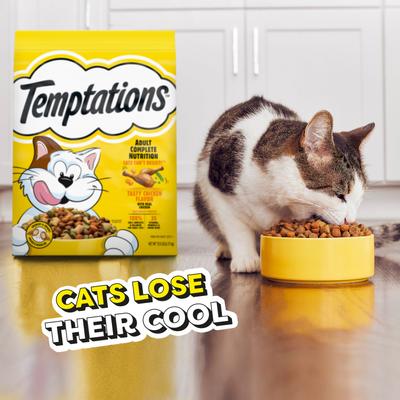 Show full view: Temptations Adult Tasty Chicken Flavor Dry Cat Food, 13.5-lb bag slide 8 of 10