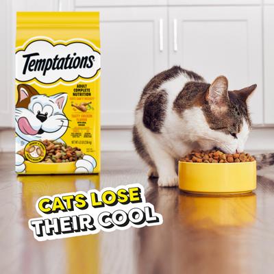 Show full view: Temptations Adult Tasty Chicken Flavor Dry Cat Food, 6.3-lb bag slide 8 of 10