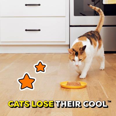 Show full view: Temptations Backyard Cookout Flavor Pate in Gravy Adult Wet Cat Food, 3.5-oz tray, case of 24 slide 10 of 11