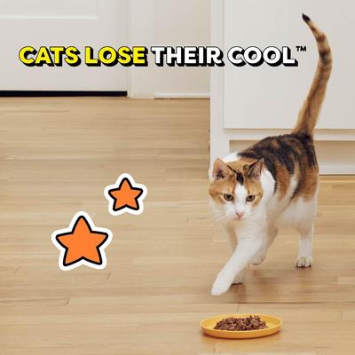 Show full view: Temptations Bites in Gravy Flavor Variety Wet Food + Chicken Dry Cat Food slide 5 of 10