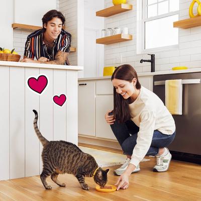 Show full view: Temptations Catnip Fever Flavor Pate in Gravy Adult Wet Cat Food, 3.5-oz tray, case of 24 slide 6 of 11