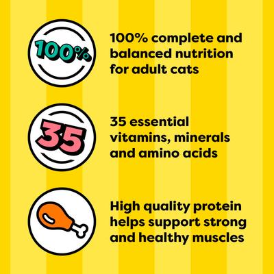 Show full view: Temptations Chicken, Seafood & Backyard Cookout Variety Pack Pate in Gravy Adult Wet Cat Food, 3.5-oz tray, 24 count slide 6 of 11