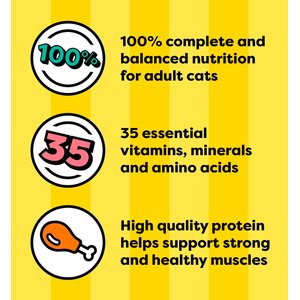 Temptations Chicken, Seafood & Backyard Cookout Variety Pack Pate in Gravy Adult Wet Cat Food, 3.5-oz tray, case of 36