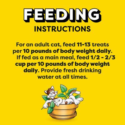 Show full view: Temptations Classic Blissful Catnip Flavor Soft & Crunchy Cat Treats, 3-oz bag slide 8 of 12