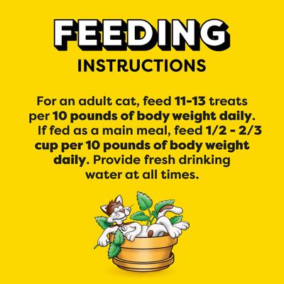 Show full view: Temptations Classic Blissful Catnip Flavor Soft & Crunchy Cat Treats, 6.3-oz bag slide 8 of 12