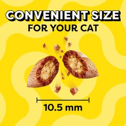 Temptations Classic Rockin' Lobster Flavor Soft & Crunchy Cat Treats, 6.3-oz bag slide 2 of 9