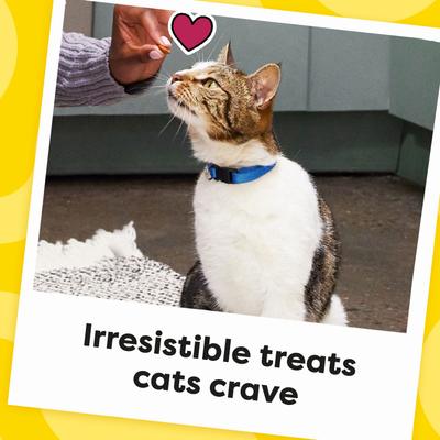 Show full view: Temptations Classic Savory Salmon Flavor Crunchy & Soft Cat Treats, 30-oz tub slide 9 of 12